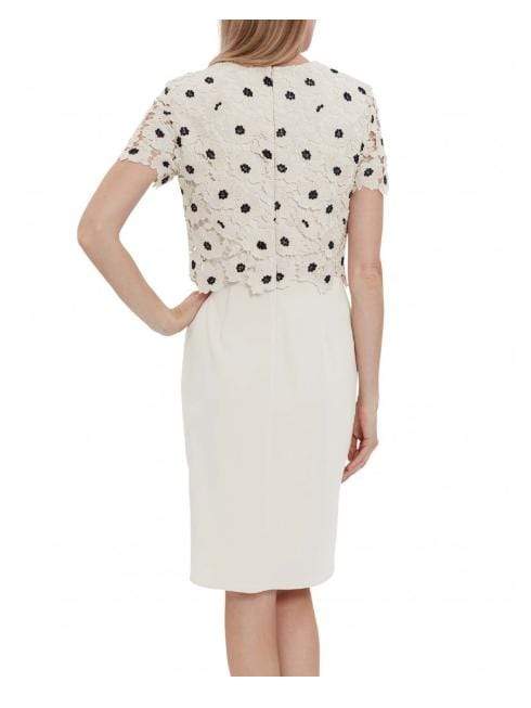 Gina Bacconi Dresses Gina Bacconi Jayna Crepe and Lace Dress Cream Navy SBZ5517 izzi-of-baslow