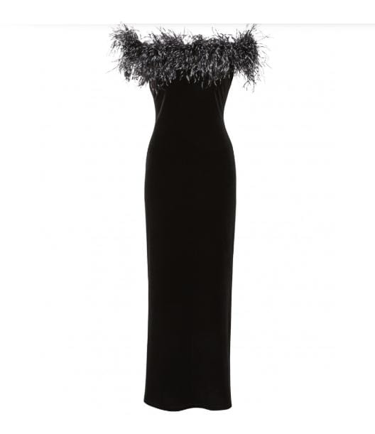 Gina Bacconi Dresses Gina Bacconi Black Winona Feather Trim Velvet Maxi Dress SRR3172 izzi-of-baslow