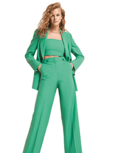 Izzi of Baslow Riani Greenfield Wide Fit Trousers With Creases 343730-3987 izzi-of-baslow